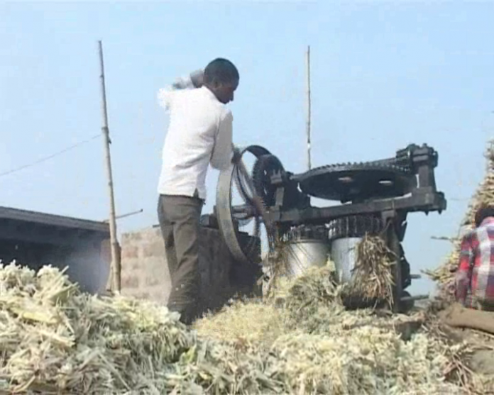 vlcsnap-2018-01-27-14h34m06s196