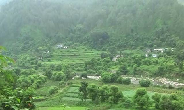 नैनीताल – पहाडी इलाको में बारिश से फसलों को फायदा