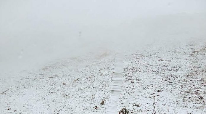 कुल्लू – हिमाचल प्रदेश रोहतांग दर्रा में ताजा हिमपात
