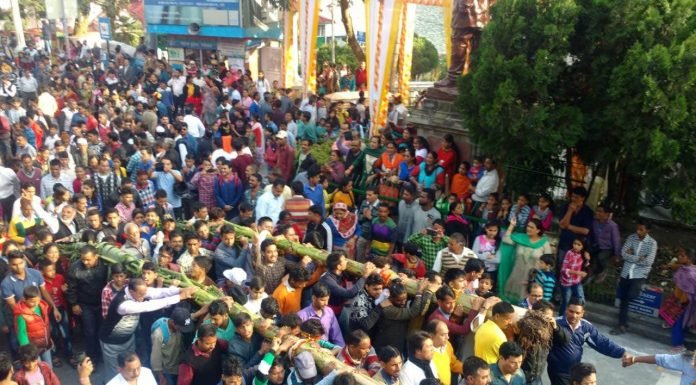 नैनीताल – नैनीताल में नन्दा देवी महोत्सव में श्रद्धालु कदली वृक्ष को लेकर भ्रमण पर निकले