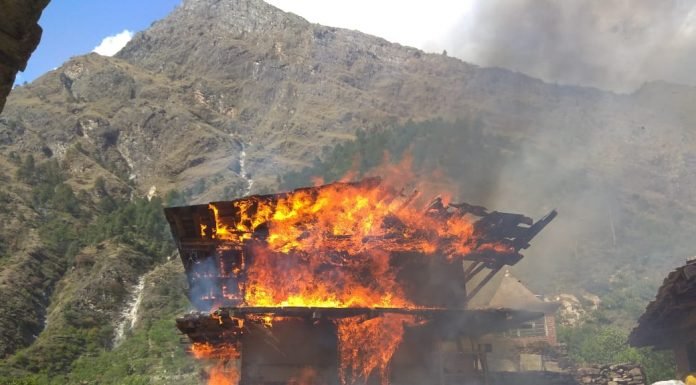 Kullu:दाड़ी गांव में फायर ब्रिगेड ने बचाया गांव को जलने से, गौशाला जलकर राख