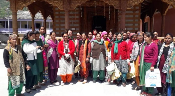 Kullu: कटराईं पंचायत ने चलाया सफाई अभियान