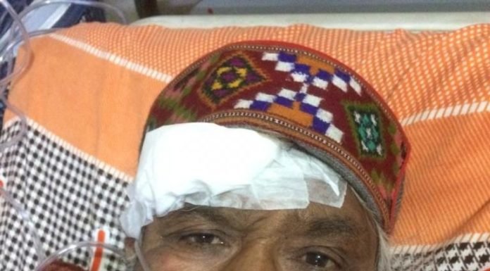 Kullu:मनाली में एक व्यक्ति भालू के हमले से बुरी तरह घायल हो गया