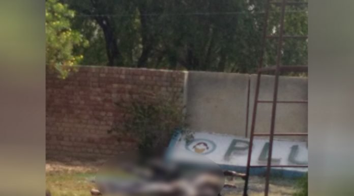 Sirsa-ओढां कस्बे में आईटीआई के कर्मचारी पिता पुत्र और छात्र की करंट लगने से मौत