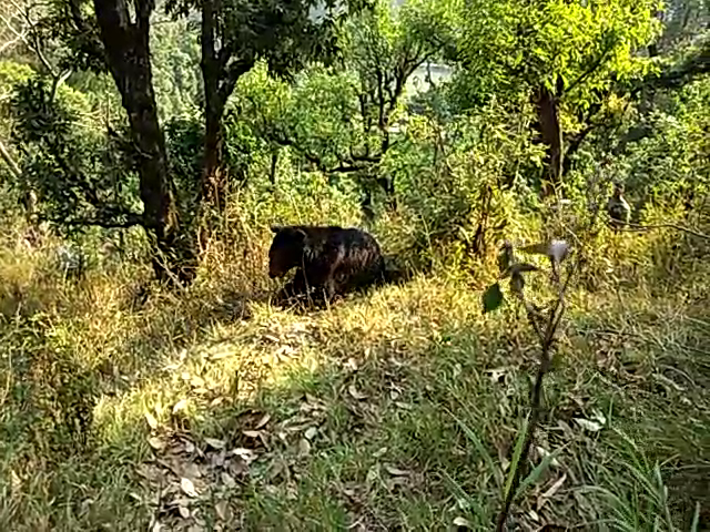 vlcsnap-2019-05-30-15h41m21s462