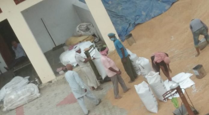 करनाल -दादुपर फर्जी खरीद केंद्र मामले में डीसी ने लिया कड़ा संज्ञान एसडीएम को सौंपी जांच