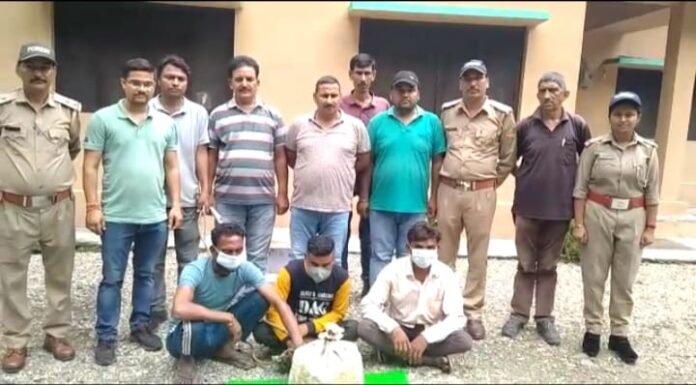 नैनीताल- प्रतिबंधित वन्य जीव पेंगोलिन की खाल के साथ 5 गिरफ्तार