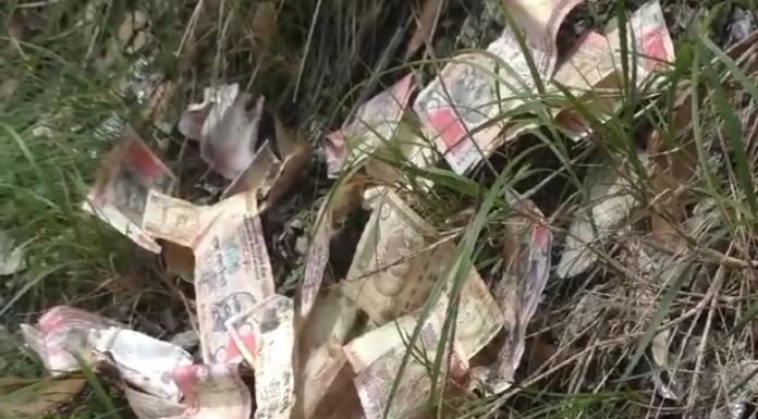 नैनीताल -जंगल में गए थे कुत्ते को खोजने, बिखरे मिले नोट