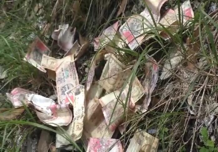 PHOTO-2023-07-25-18-00-34