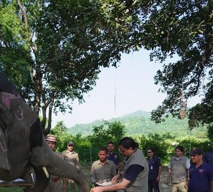 नैनीताल- सीएम धामी ने की जिम कॉर्बेट टाइगर रिजर्व में सफारी