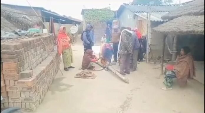 नैनीताल-जंगल गई महिला को बाघ ने बनाया शिकार