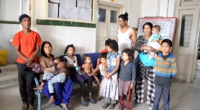 नैनीताल -मधुमक्खियों के हमले में नवजात सहित दस लोग घायल