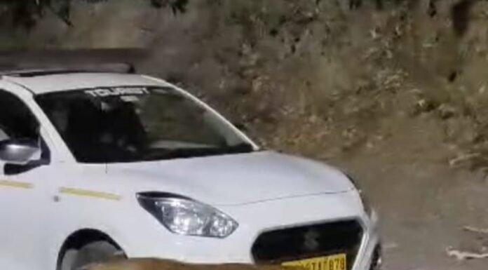 नैनीताल – नैनीताल के बारह पत्थर घोड़ा स्टैंड में गुलदार का वीडियो वायरल