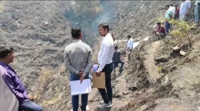 नैनीताल-जंगल में लगी आग बुझाने के दौरान एक की मौत
