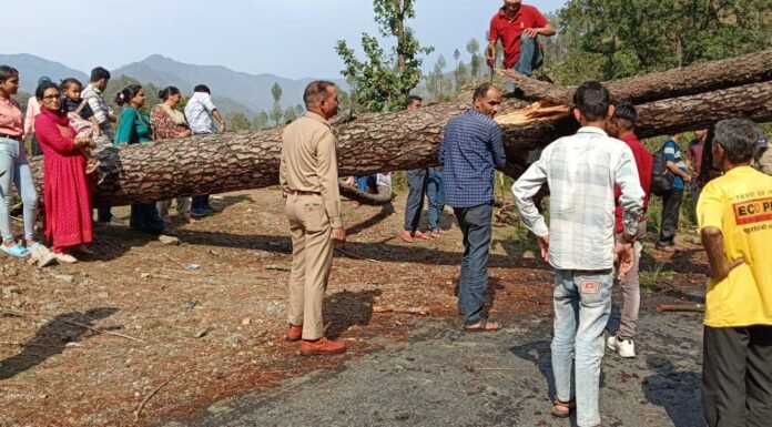 नैनीताल – पुलिस ने गिरे पेड़ से बाधित यातायात को तत्काल पेड़ काटकर ठीक किया