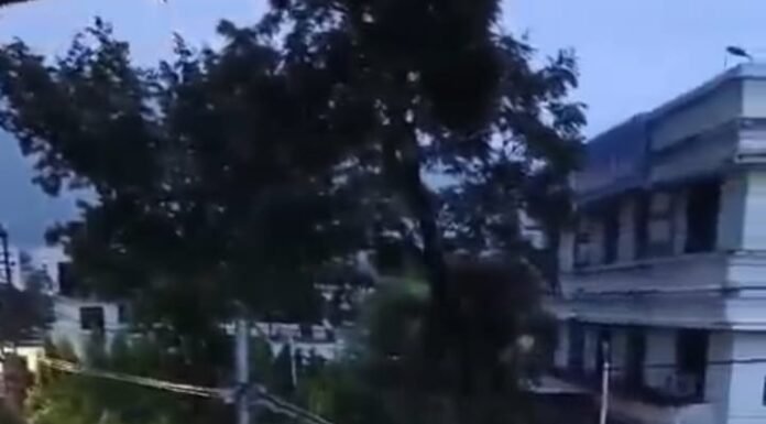 हल्द्वानी- देवखड़ी नाले के बहाव में फंसी कारें