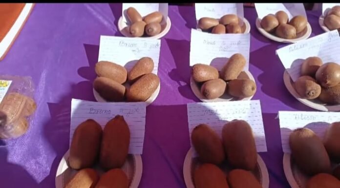 नैनीताल- राष्ट्रीय कीवी दिवस पर कीवी उत्पादन के लिए किसानों को किया प्रेरित