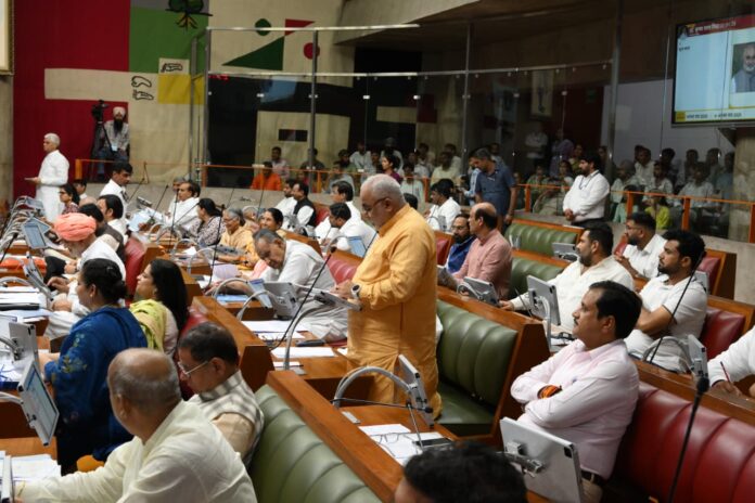 WhatsApp Image 2025-08-26 at 16.40.03