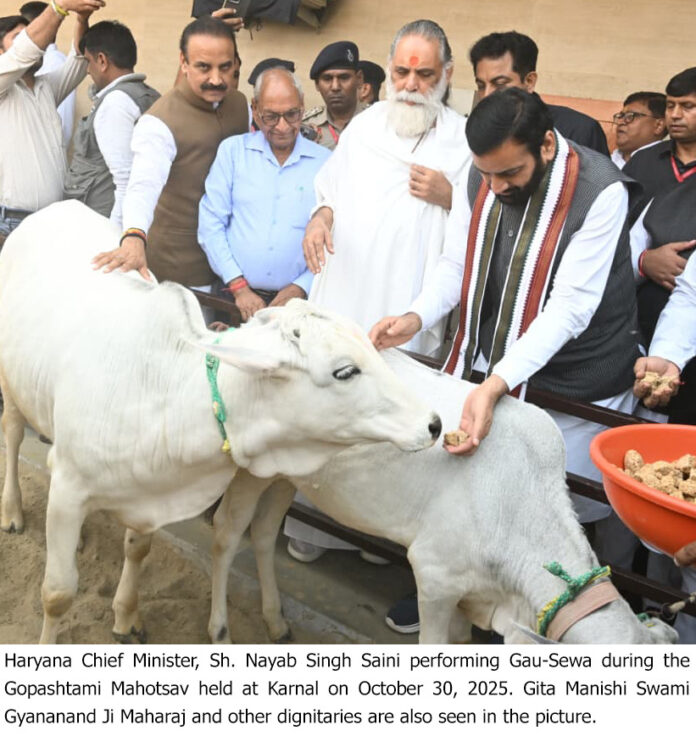 8fa6c928-66c3-4705-bbc4-af9515d6b28d