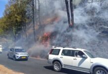 नैनीताल -नैनीताल के बल्दियाखान के जंगल में लगी भीषण आग