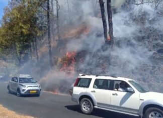 नैनीताल -नैनीताल के बल्दियाखान के जंगल में लगी भीषण आग