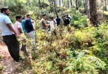 नैनीताल -पर्यटकों की कार खाई में गिरने से सभी 5 लोगों की मौत