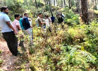 नैनीताल -पर्यटकों की कार खाई में गिरने से सभी 5 लोगों की मौत