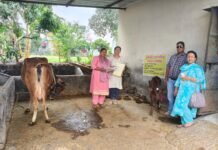 नैनीताल- मुख्यमंत्री की पहल से एकल महिलाओं ने आत्मनिर्भरता की ओर बढ़ाए कदम