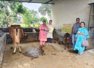 नैनीताल- मुख्यमंत्री की पहल से एकल महिलाओं ने आत्मनिर्भरता की ओर बढ़ाए कदम