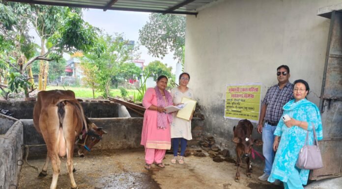 नैनीताल- मुख्यमंत्री की पहल से एकल महिलाओं ने आत्मनिर्भरता की ओर बढ़ाए कदम
