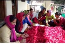 नैनीताल -नैनीताल के रामगढ़ की हर्बल टी बन रही ‘आत्मनिर्भर उत्तराखंड’ की वैश्विक पहचान