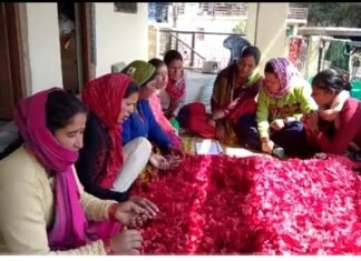 नैनीताल -नैनीताल के रामगढ़ की हर्बल टी बन रही ‘आत्मनिर्भर उत्तराखंड’ की वैश्विक पहचान